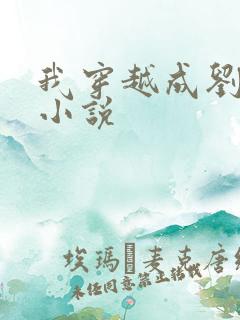 我穿越成刘盈的小说