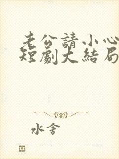 老公请小心前妻短剧大结局免费观看