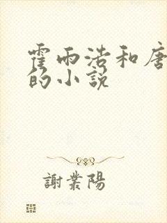 霍雨浩和唐舞桐的小说