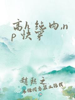 高h 纯肉,np 快穿