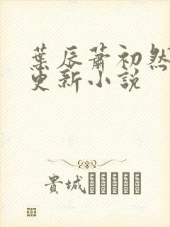 叶辰萧初然最新更新小说
