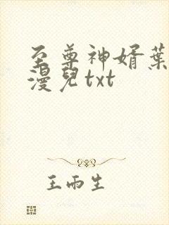 至尊神婿叶昊郑漫儿txt