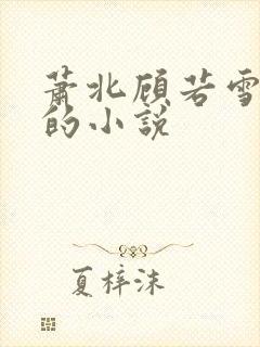 萧北顾若雪苏婉的小说