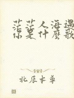 茫茫人海遇见了你是什么歌名么意思