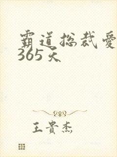 霸道总裁爱上我365天