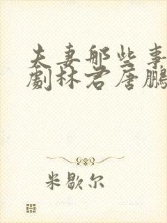 夫妻那些事电视剧林君唐鹏