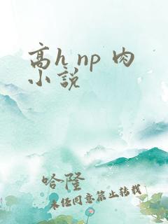 高h np 肉小说