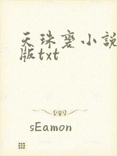 天珠变小说完整版txt