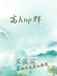 高hnp群