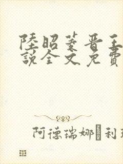 陆昭菱晋王的小说全文免费阅读3yt