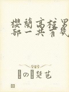 樱兰高校男公关部一共有几季