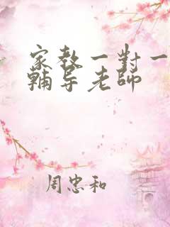 家教一对一上门辅导老师