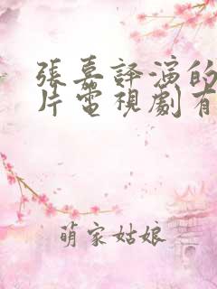 张嘉译演的谍战片电视剧有哪些