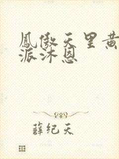 凤傲天里黄毛反派沐恩