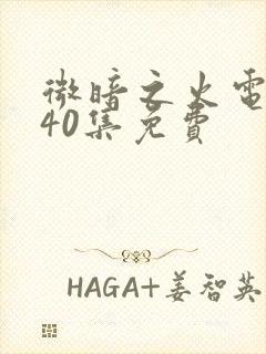 微暗之火电视剧40集免费