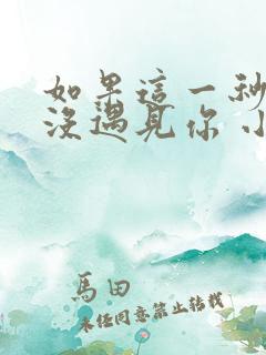 如果这一秒,我没遇见你 小说