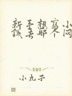 新手想写小说赚钱去哪个网站