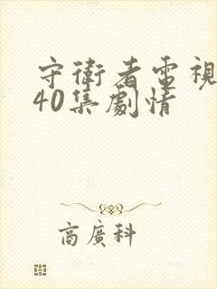 守卫者电视剧全40集剧情