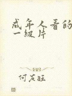 成年人看的黄色一级片