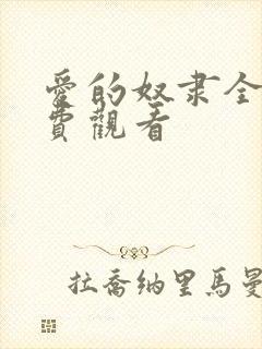 爱的奴隶全集免费观看