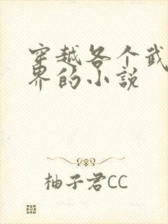 穿越各个武侠世界的小说