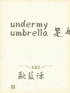 undermyumbrella 是哪首歌的歌词