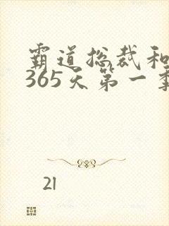 霸道总裁和我的365天第一季