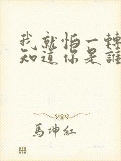 我就怕一转身不知道你是谁是什么歌