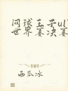 网球王子u17世界赛决赛漫画