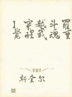 】穿越斗罗 你觉醒武魂重瞳...