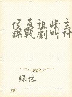 侯勇祖峰主演的谍战剧叫什么