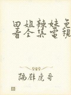 田姐辣妹免费观看全集电视剧