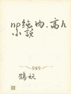 np纯肉.高h小说