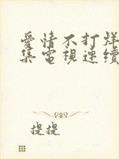 爱情不打烊44集电视连续剧