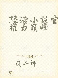 陆浩小说官途:权力巅峰