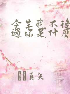 今生我不后悔爱过你是什么歌