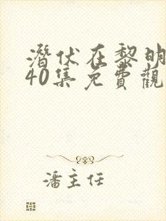 潜伏在黎明之前40集免费观看