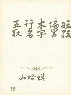 五行木偏旺怎么取名字男孩