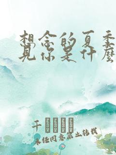 想念的夏季我遇见你是什么歌