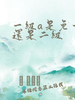 一级a是免一级还是二级