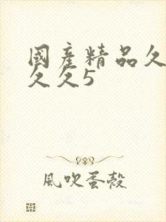 国产精品久久久久久5