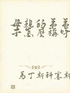 母亲的弟弟的妻子怎么称呼