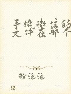 手机微信的缓存文件在哪个文件夹