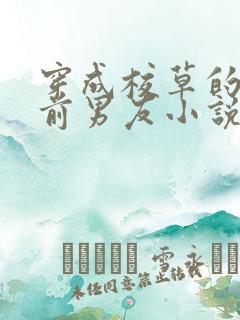 穿成校草的炮灰前男友小说