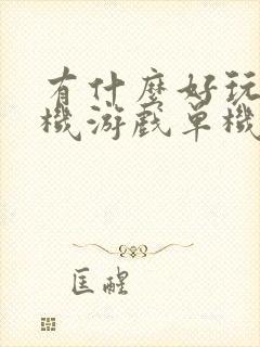 有什么好玩的手机游戏单机