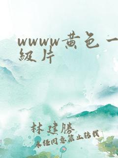 wwww黄色一级片