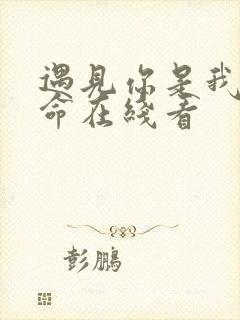 遇见你是我的宿命在线看