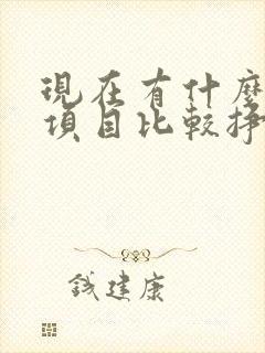 现在有什么投资项目比较挣钱