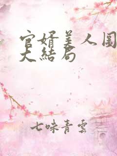 官婿美人图安江大结局