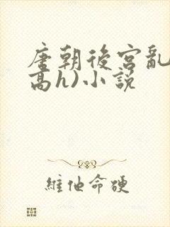 唐朝后宫乱淫(高h)小说